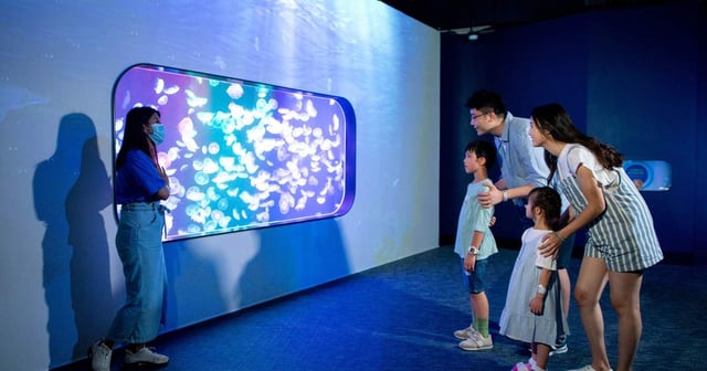 Hong Kong Cube O Discovery Park Ticket - Klook Hong Kong