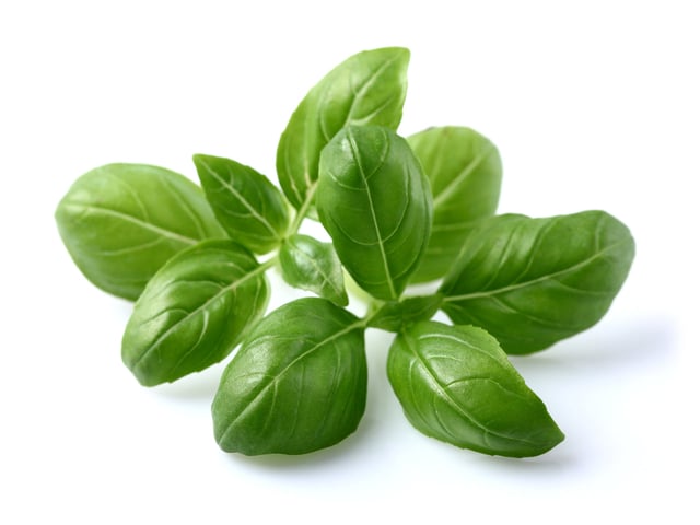 Basil Plant Pods