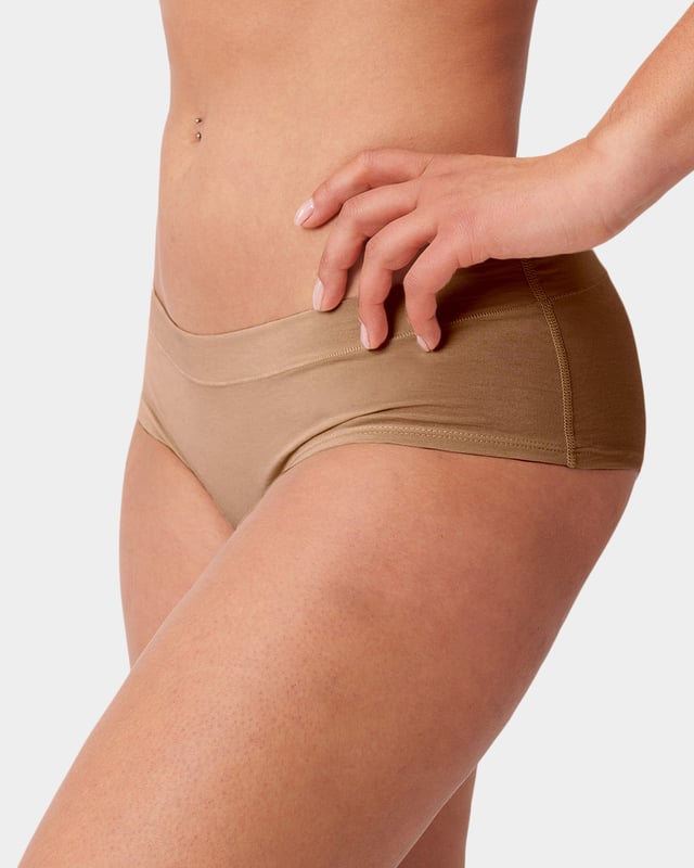Cheeky Brief