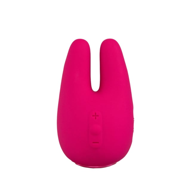 Form 2 Pro™