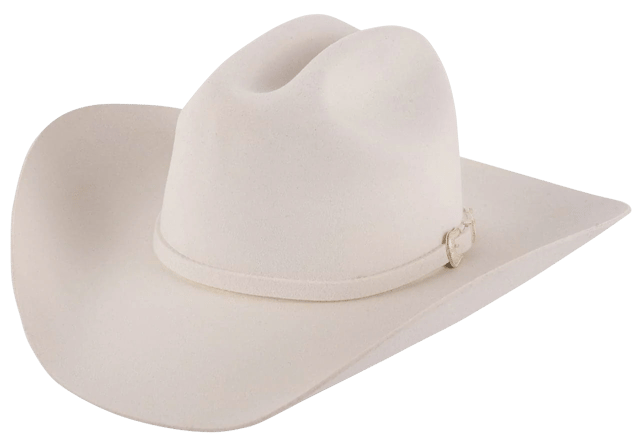 Stetson 3X Oakridge Felt Cowboy Hat - White