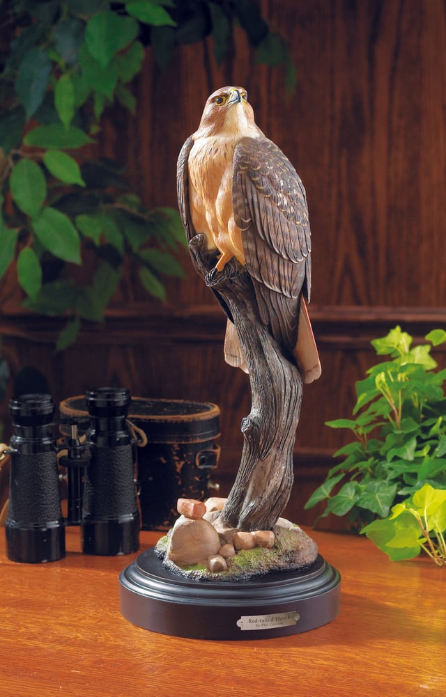 Red Tailed Hawk