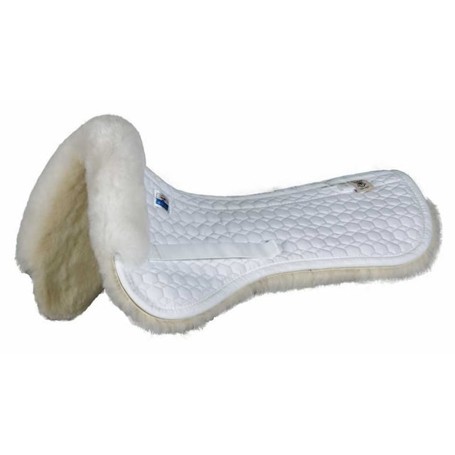 EA Mattes Gold Wool AP Half Pad