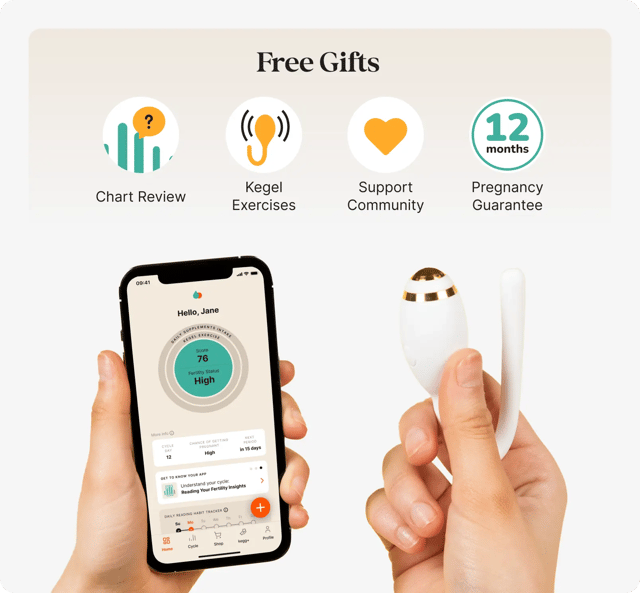 kegg fertility tracker and kegel ball