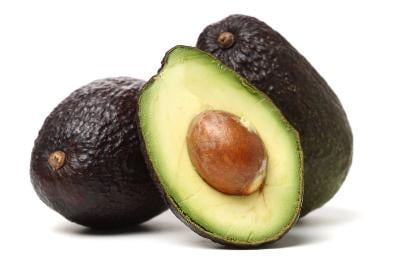 Lamb Hass Avocado Tree