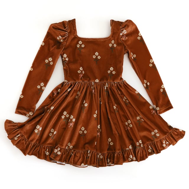 Sugar Almond Floral Velvet Mod Twirl Dress
