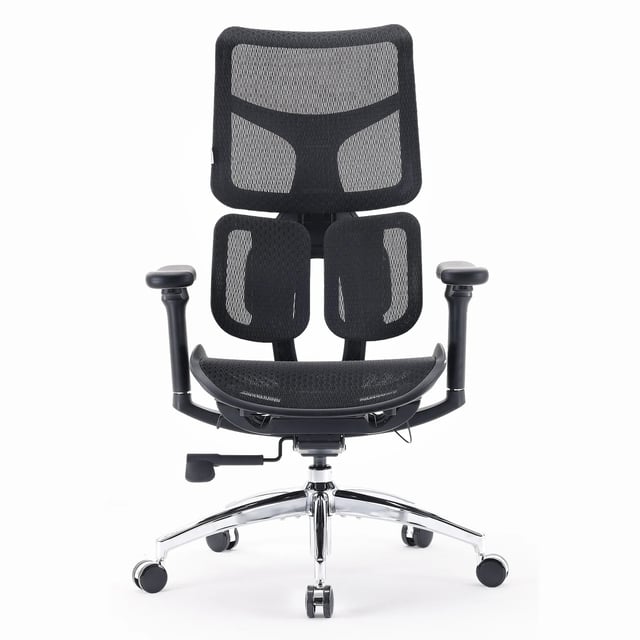 Sihoo Doro S100 Ergonomic Office Chair with Dual Dynamic Lumbar Support & Enlarged Seat Cushion