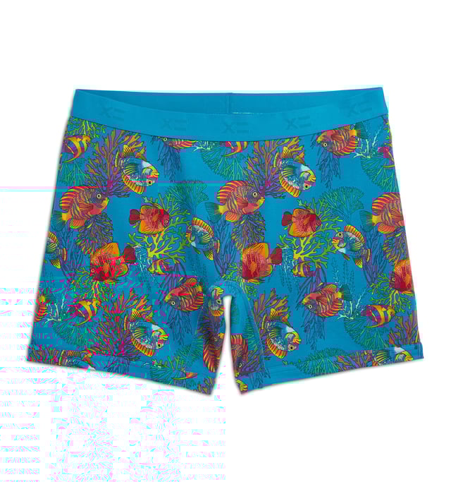 6" No Fly Boxer Briefs - Rainbow Fish