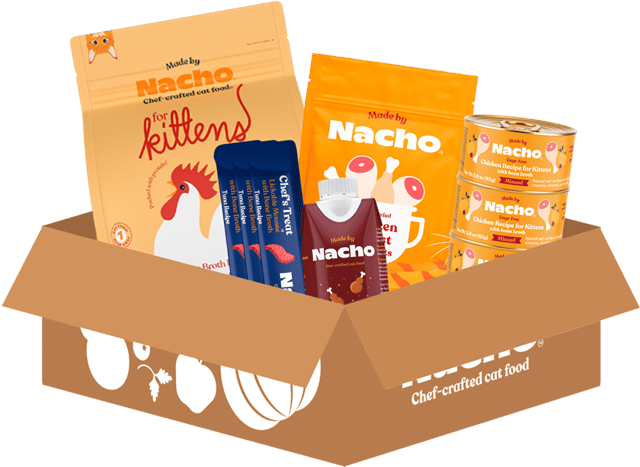 Made by Nacho Kitten Starter Kit