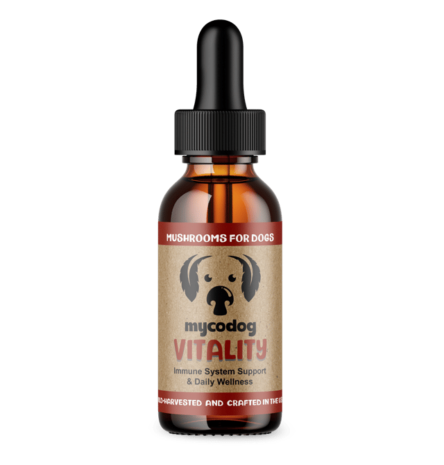 Vitality by MycoDog