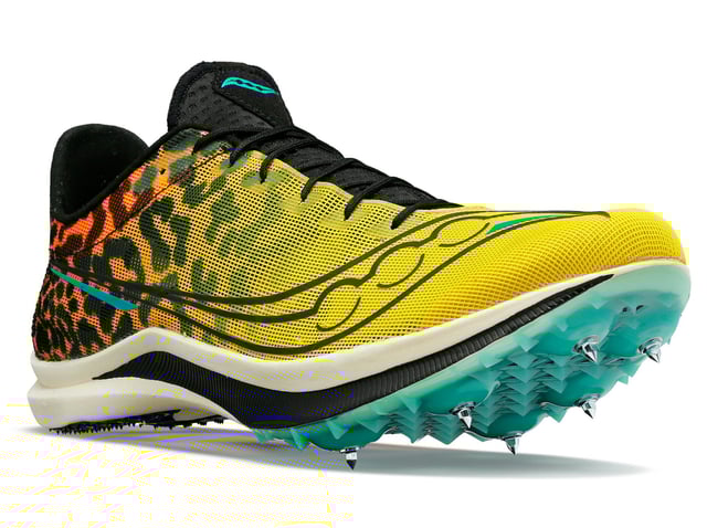 Endorphin Cheetah 