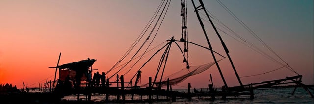 Find flights from Adelaide to Kochi