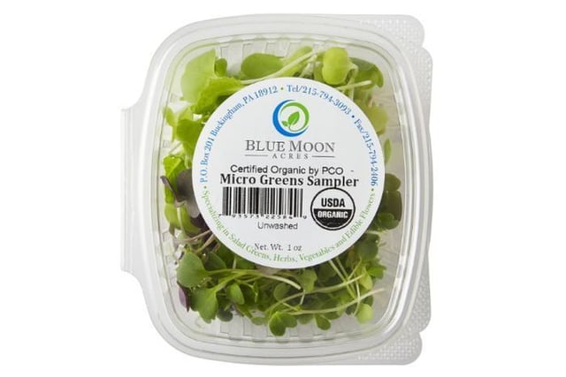 Organic Micro Basil