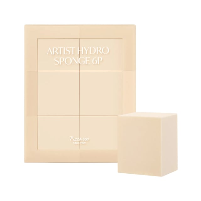 PICCASSO Artist Hydro Sponge (6P)
