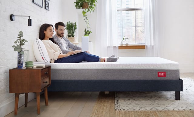 Platform Bed Frame