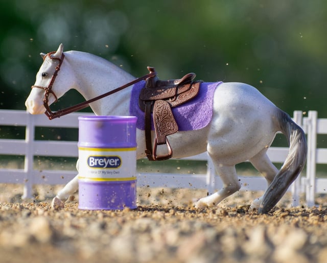 Barrel Racing Set