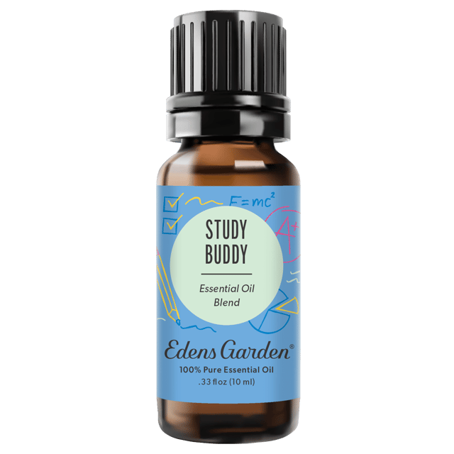 Study Buddy Essential Oil Blend- For Focus, Mind Calming & Concentration