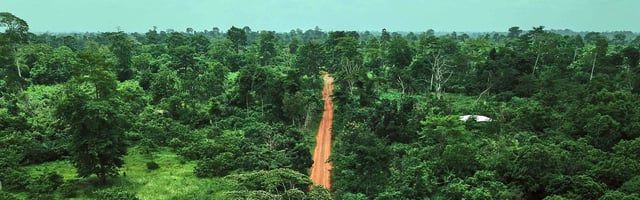 Nos meilleures offres de voyage pour Côte-d'Ivoire