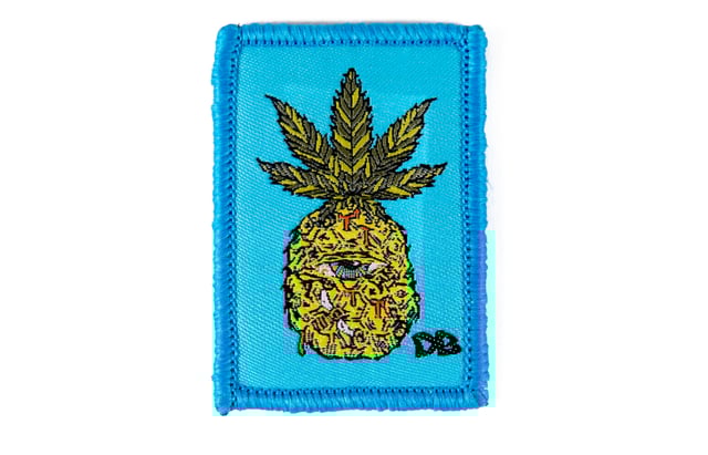 Ellie Paisley EYEnapple Patch