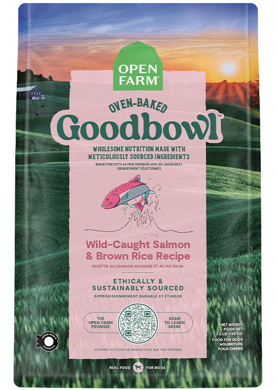 Goodbowl™ Wild-Caught Salmon & Brown Rice Dog Food Recipe