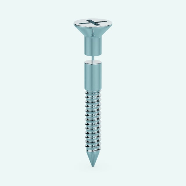 Screw Earring - Long