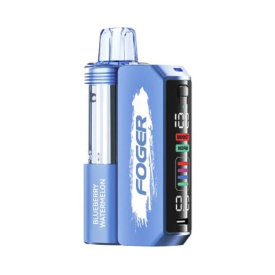 Blueberry Watermelon Foger Switch Pro 30K Disposable