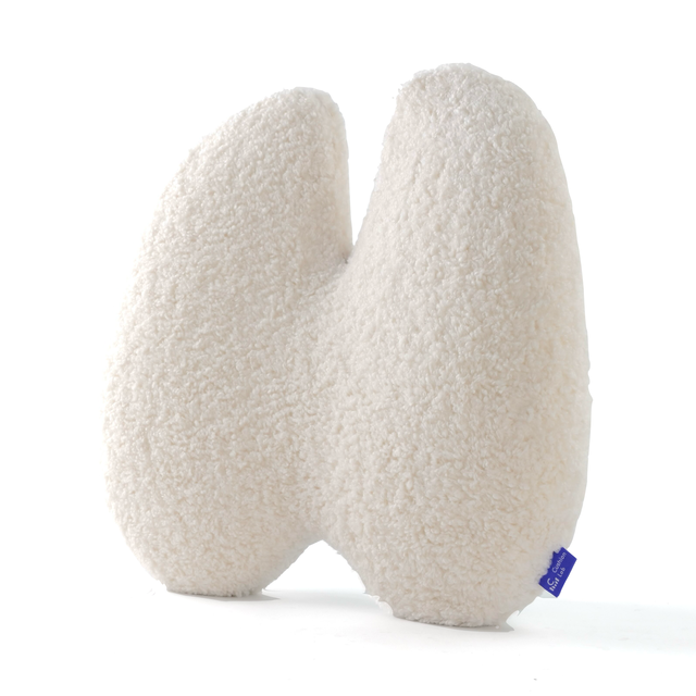 Back Relief Lumbar Pillow