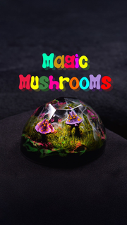 Magic Mushrooms