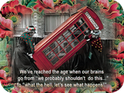 We're never too old for friends and fun!