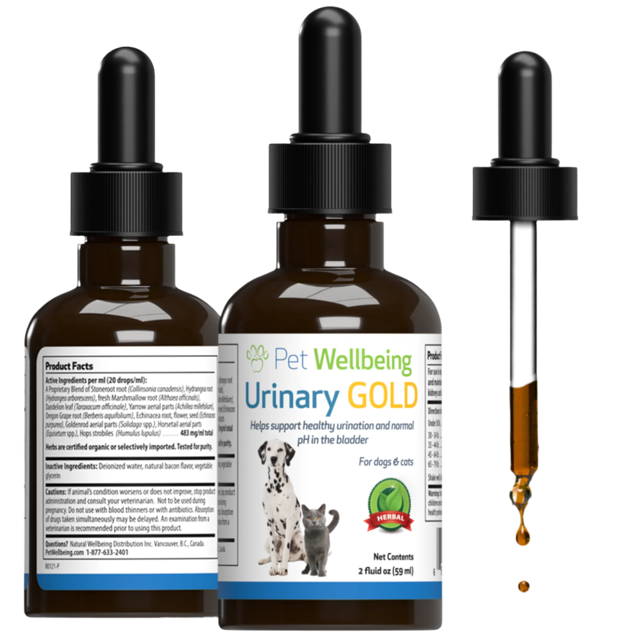 Urinary Gold - Supports Urinary Health for Cats