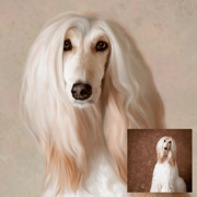 Hand-Painted Pet Portrait