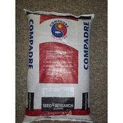 Compadre Zoysia Grass Seed