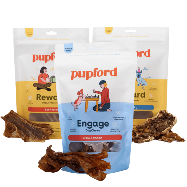 Regular Meat Trio Bundle