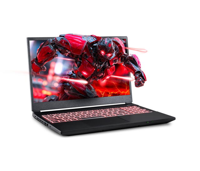 Sager NP5251M Gaming Laptop