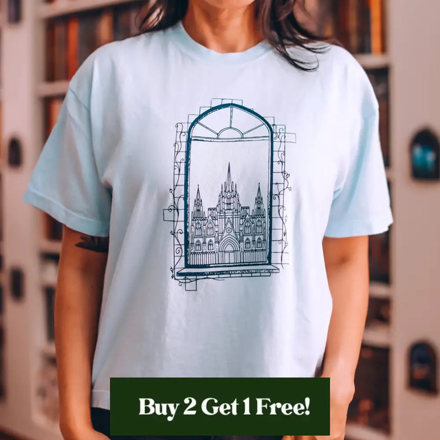 Window to The Glass Palace Heavy Weight Boxy Tee