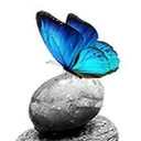 Butterfly Express Quality Essential Oils logo