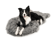 PupRug® Faux Fur Orthopedic Dog Bed Cover - Charcoal Grey (Bed Not Included)