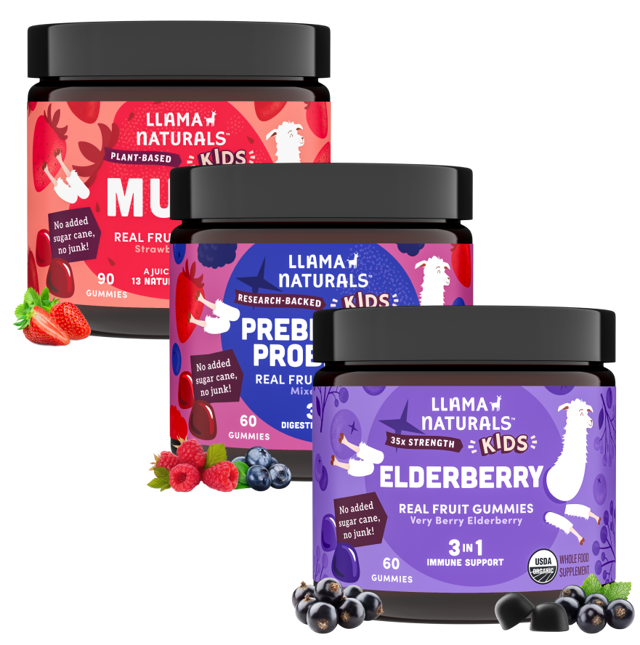 Kids Multi + Pre & Pro + Elderberry Bundle (Organic)