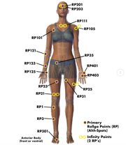 Rollga Level 2 Certification: Master Fascia and Pressure Point Specialist