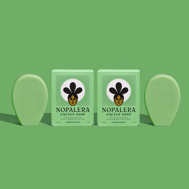 2-Pack Lemongrass Cactus Soap