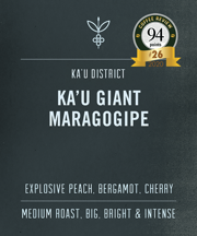 Ka'u Maragogipe | Giant Elephant Bean