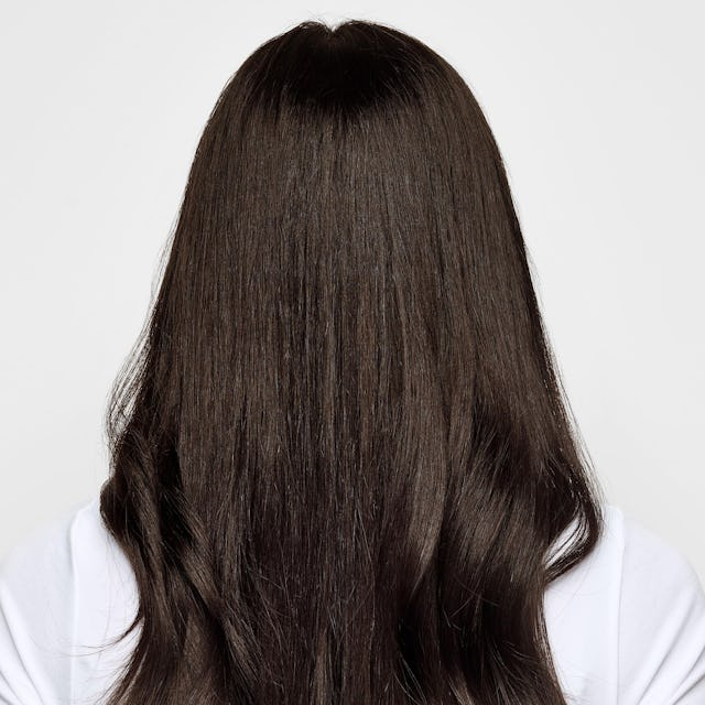 Umbria Light Neutral Brown - 7.5NNA - Light Neutral Brown Hair Color For Resistant Grays