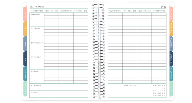 A5 Teacher 2: Elementary School