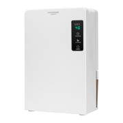 Electric Mini Dehumidifier with 2200ml Tank
