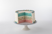 Pastel Party Cake