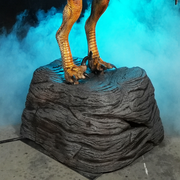 Raptor Optional Rock