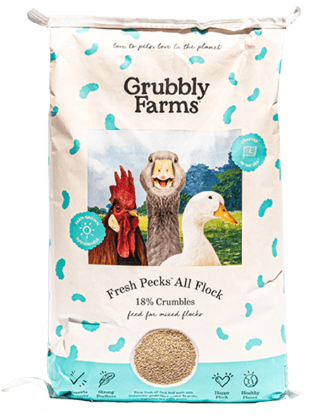 Fresh Pecks All Flock