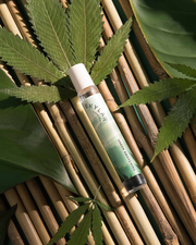 Scent Club January 2023