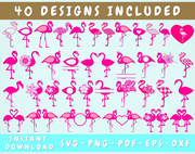 Flamingo SVG Bundle - 40 Designs, Flamingo PNG, Flamingo Cut Files for Cricut, Silhouette, Flamingo Monogram SVG