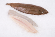Dover Sole Whole